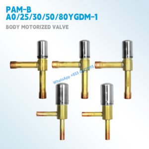 Body Motorized Valve 2061568 6024151 6024150 2061551 2061544 2538013-17-18 3S500020-4-5 3SA50107-1-3-4 PAM-B25-30-50-80-A0YGDM-1